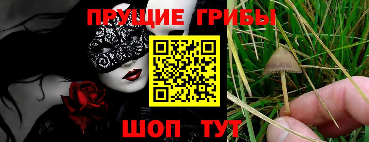 Галлюциногенные грибы мухоморы Костомукша
