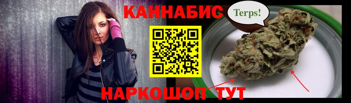 Бошки Шишки планчик Костомукша